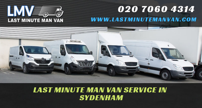 About Last Minute Man Van Company