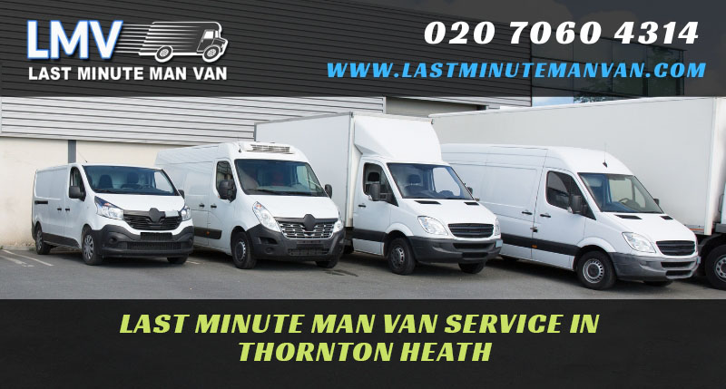 About Last Minute Man Van Company